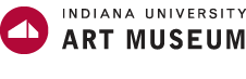 IUAM Logo